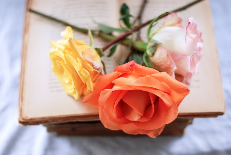 Three Roses on Book