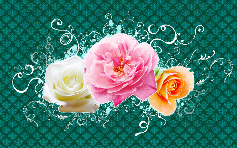 three roses on patterned background