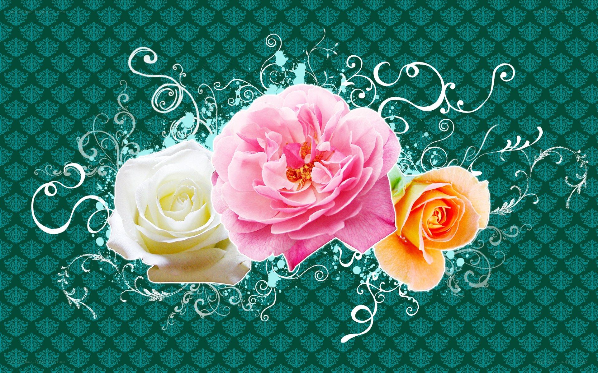 three roses on patterned background