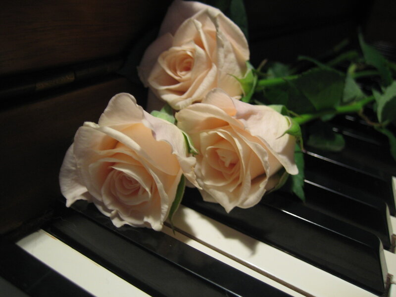 Three Roses on Piano