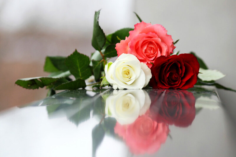 Three Roses on Reflective Surface — Red