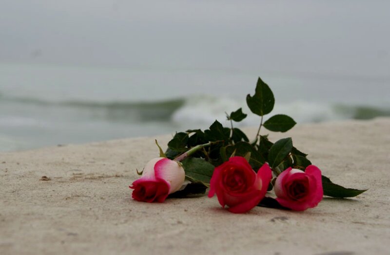 Three Roses on Sand