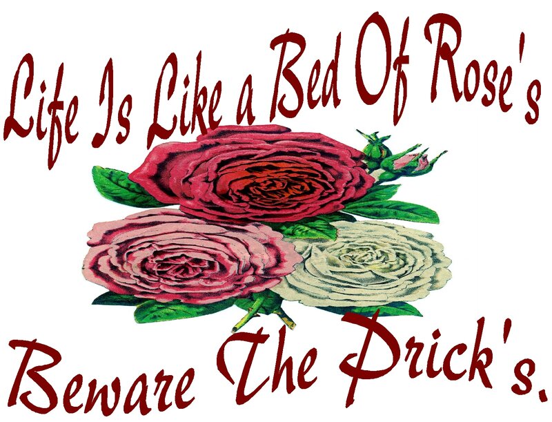 Three Roses — Red