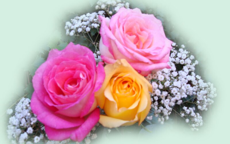 Three Roses with Baby's Breath
