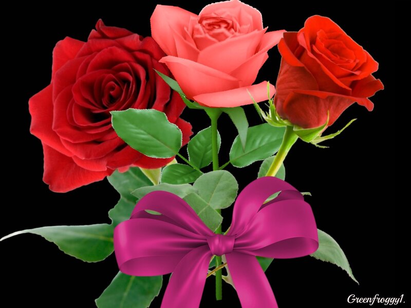 Three Roses with Bow