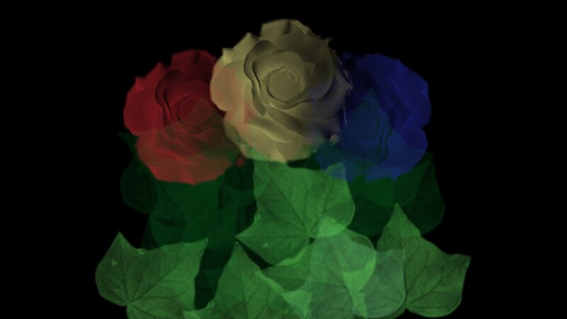 Three Roses with Leaves — Red