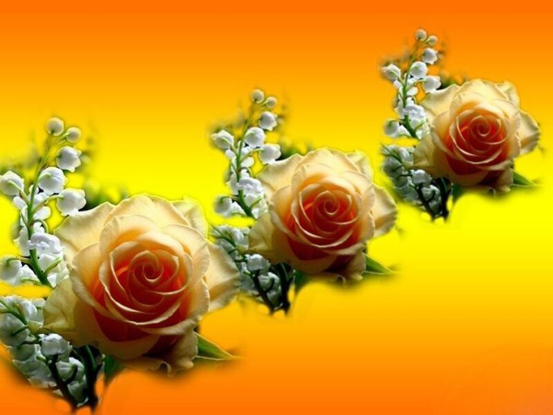 Three Roses with Lilies