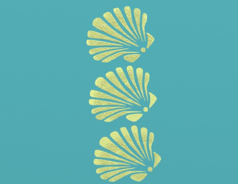 three scallop shells on blue