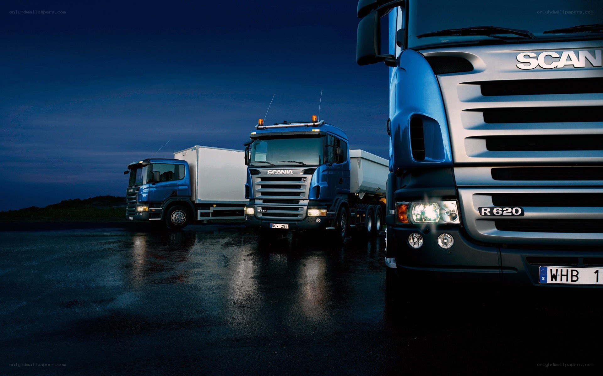 Three Scania trucks at night
