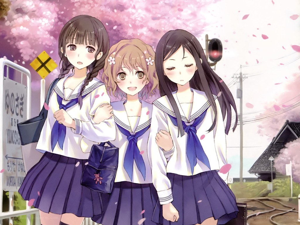 Three schoolgirls under cherry blossoms