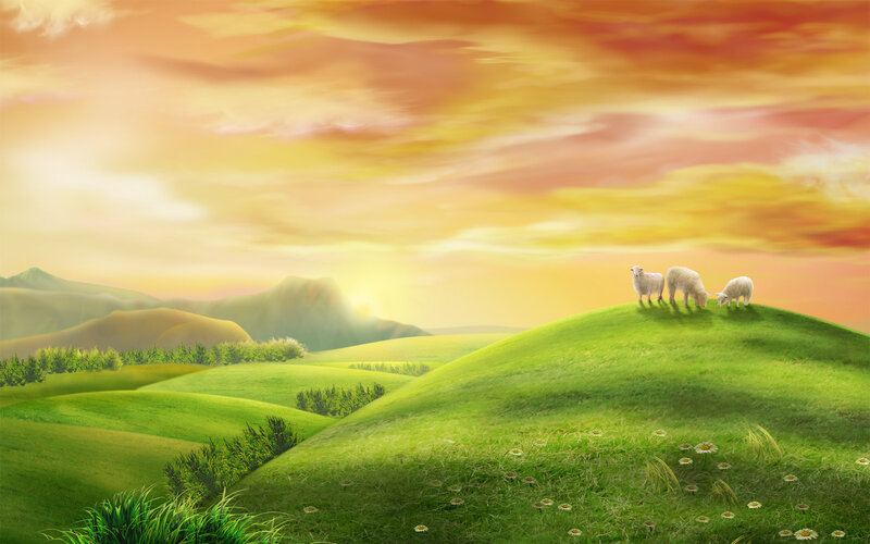 Three Sheep on a Hill