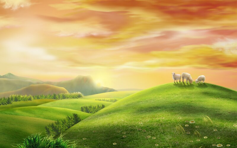 Three Sheep on Hill