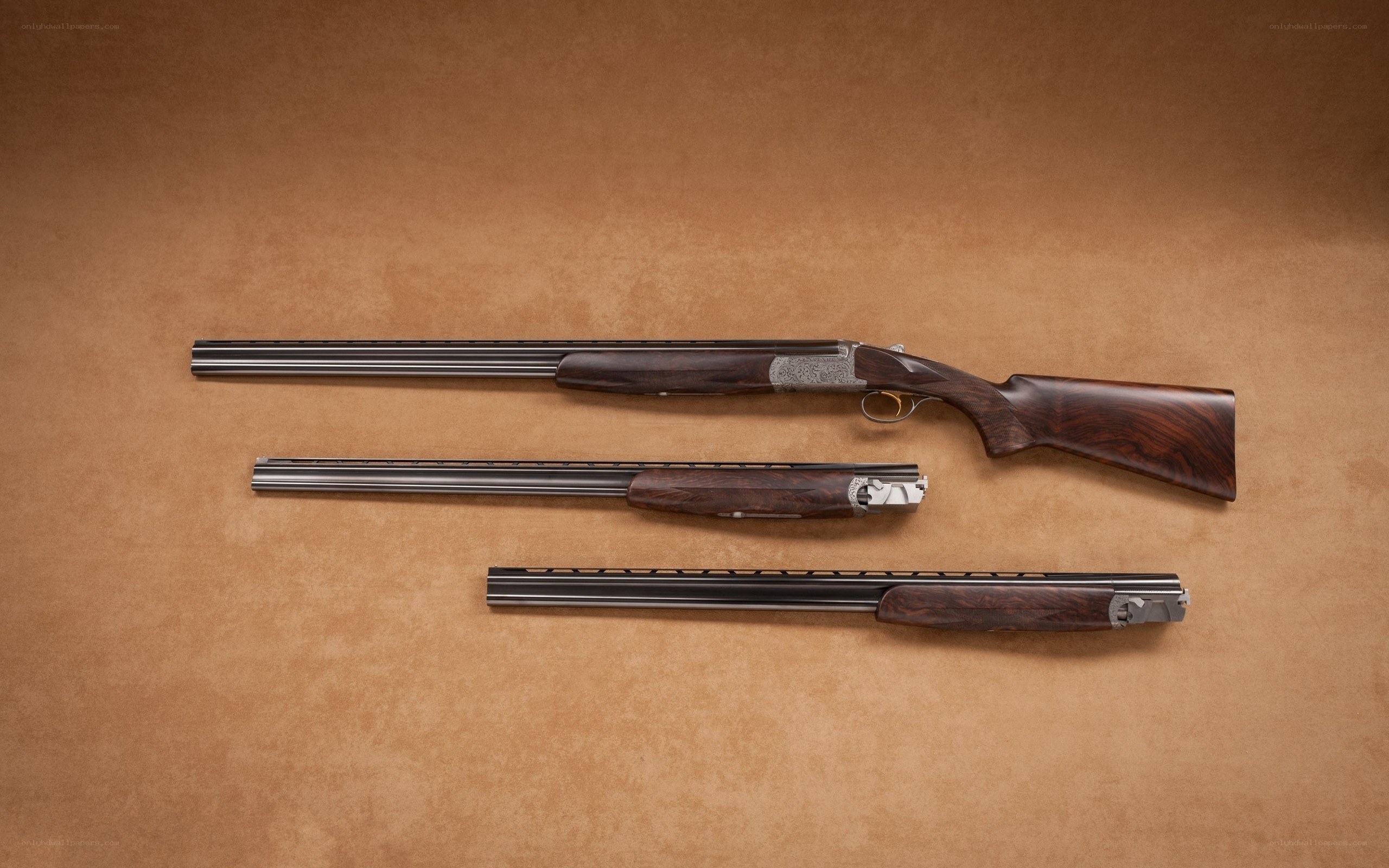 Three shotguns on display