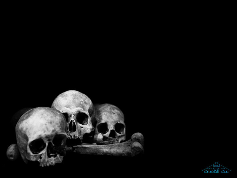 Three Skulls and Bones