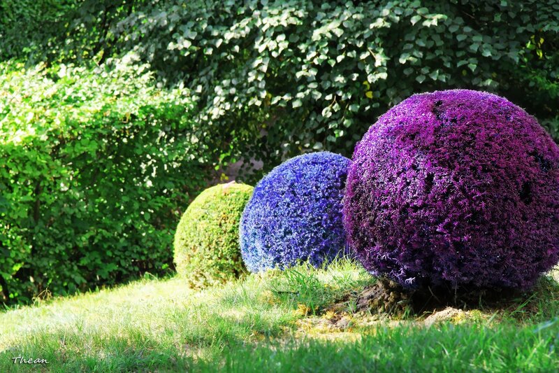 Three Spherical Topiaries