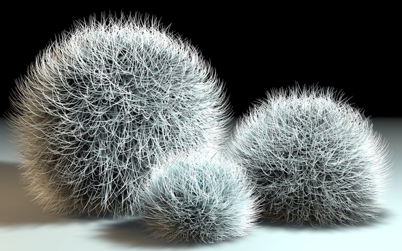 Three Spiky Cacti