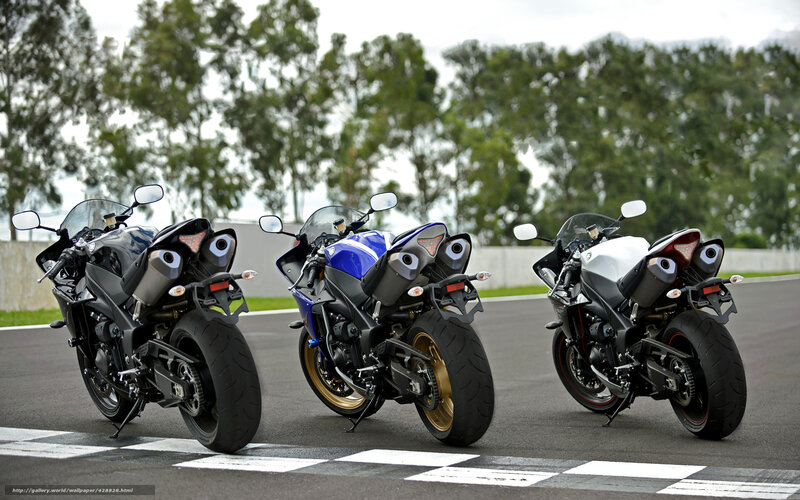 Three sport motorcycles on a racetrack