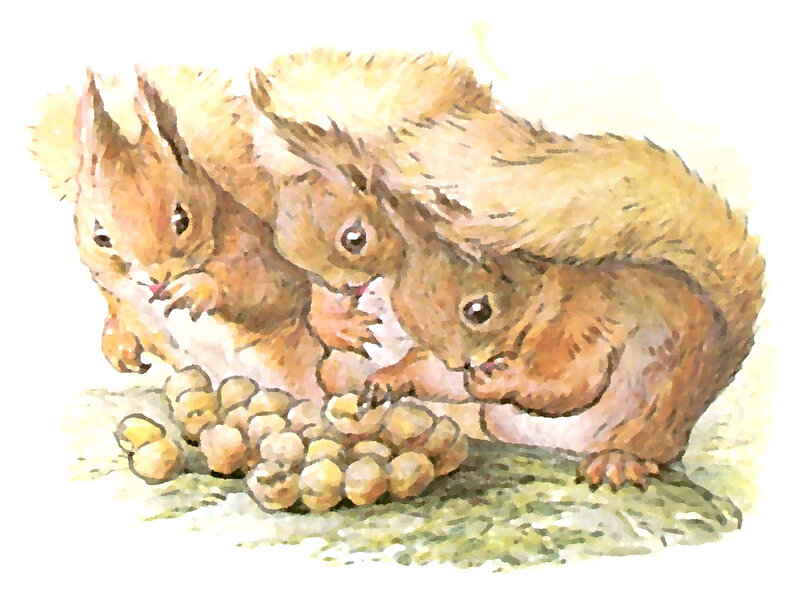 Three Squirrels Eating — Brown
