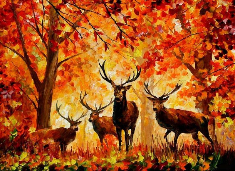 Three Stags in Forest