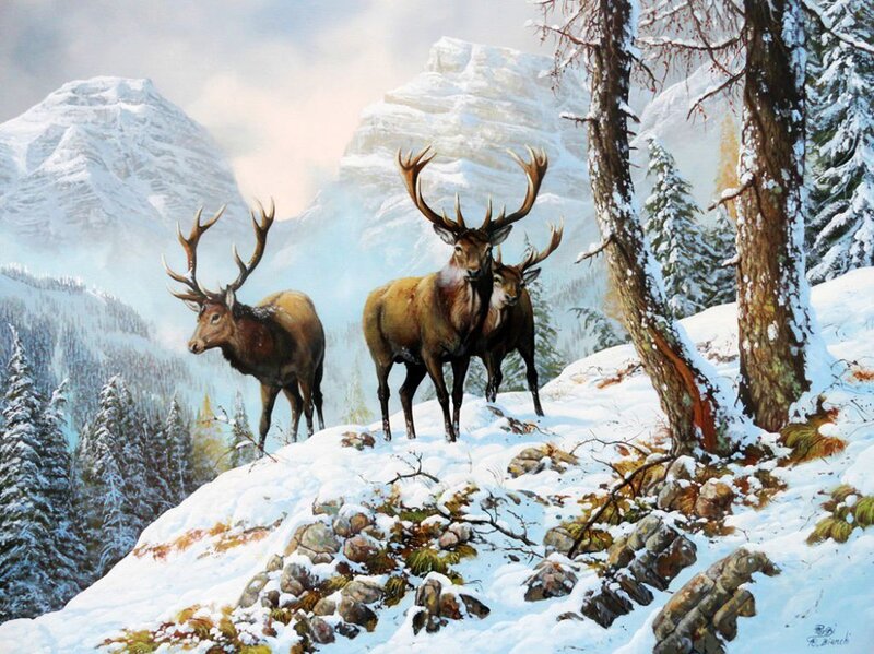 Three Stags in Snow