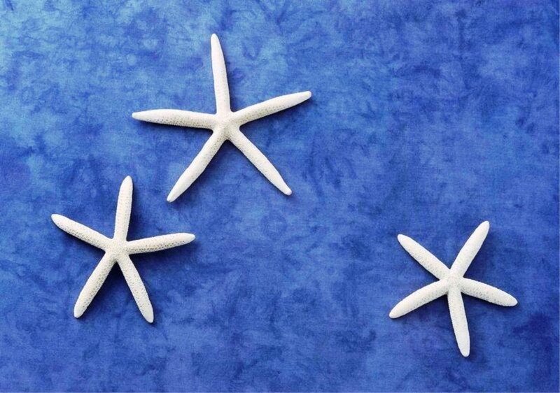 Three Starfish on Blue — Calm