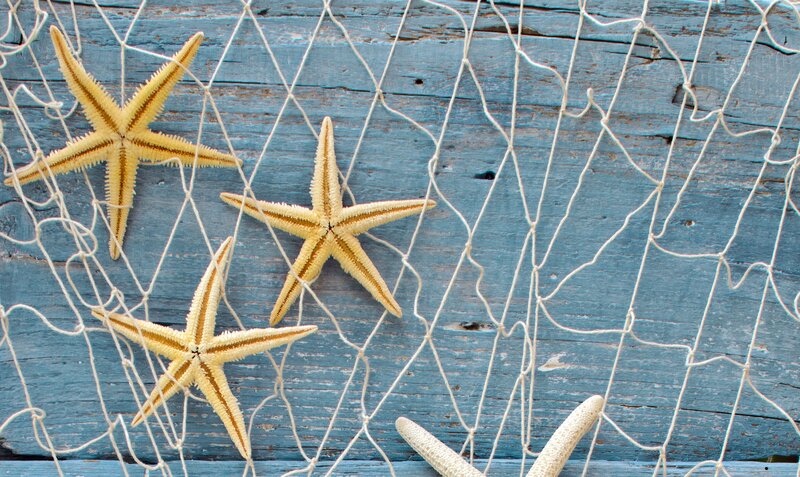 Three Starfish on Net
