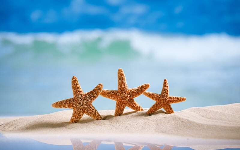 Three Starfish on Sand — Blue