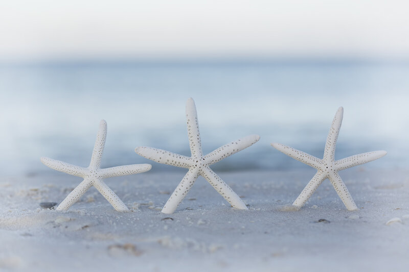 Three Starfish on Sand