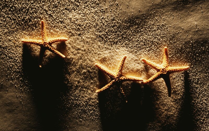 Three starfish on sandy beach