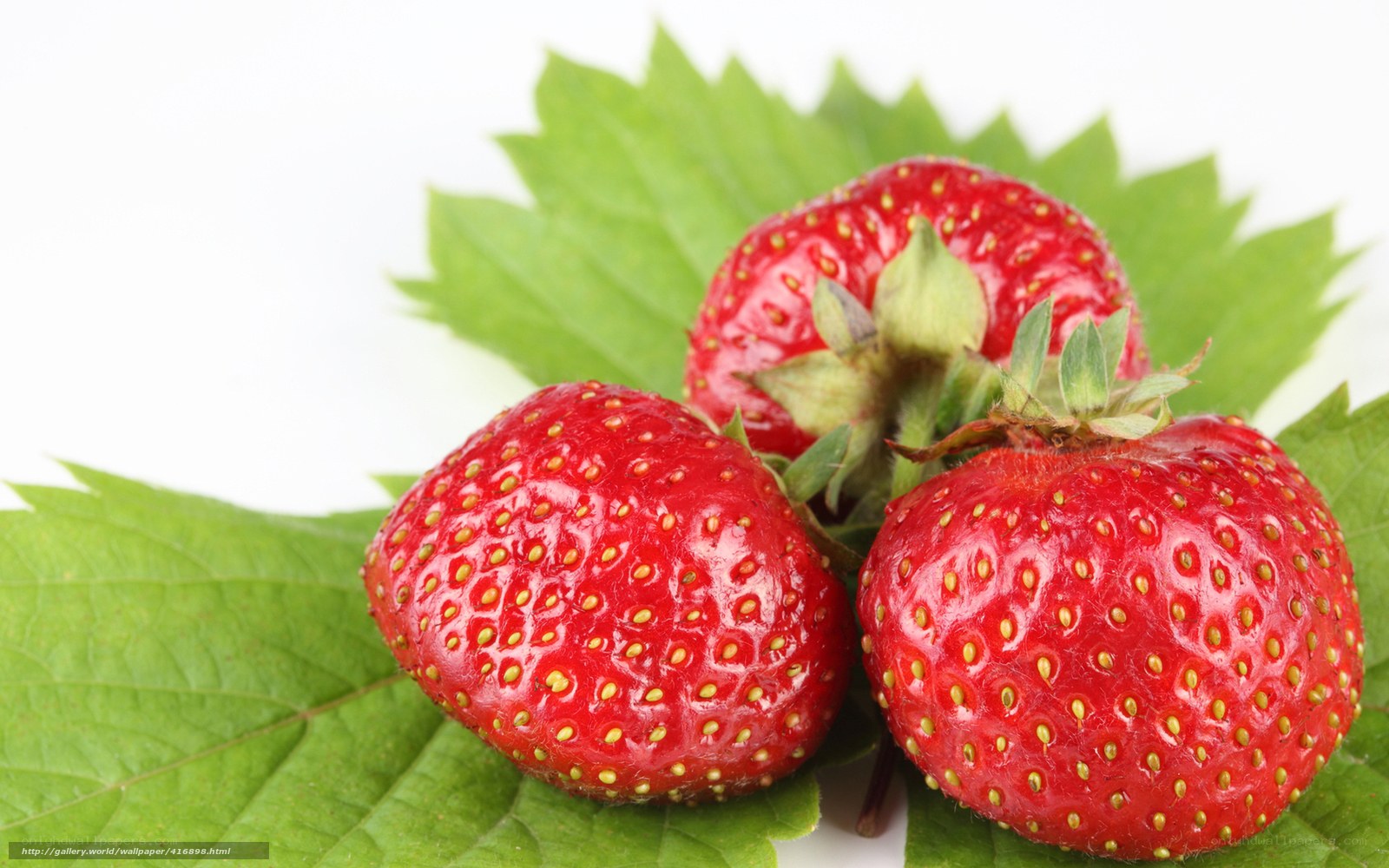 three strawberries on green leaves