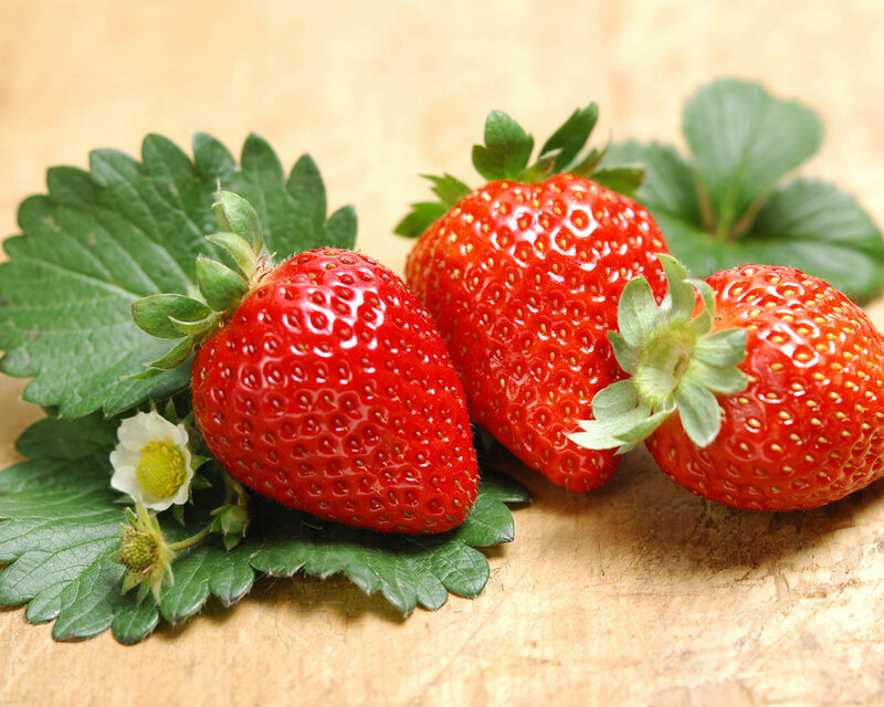 Three Strawberries on Leaves