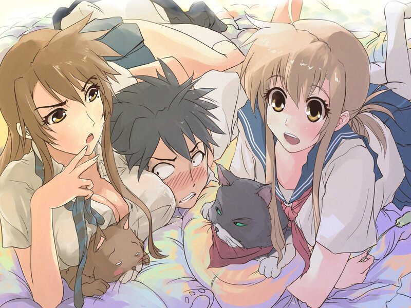 Three Students with Cats