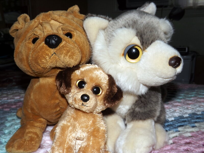 Three Stuffed Animals