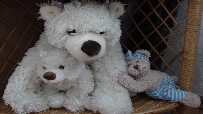 Three Stuffed Bears