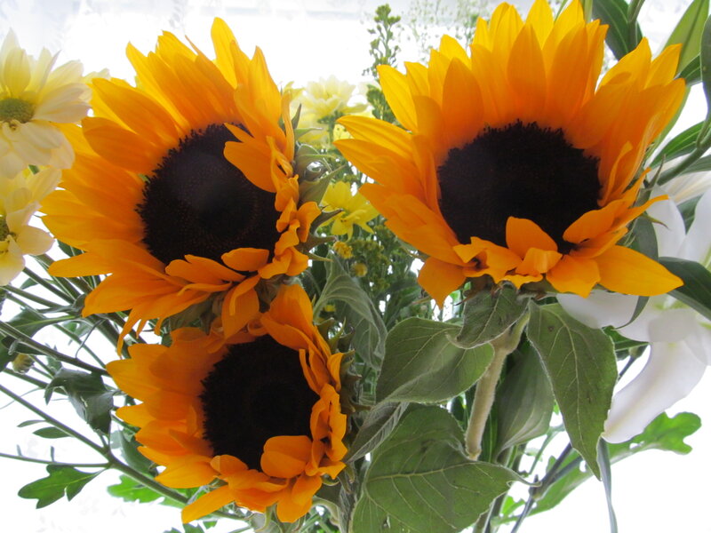 Three Sunflowers in Bouquet