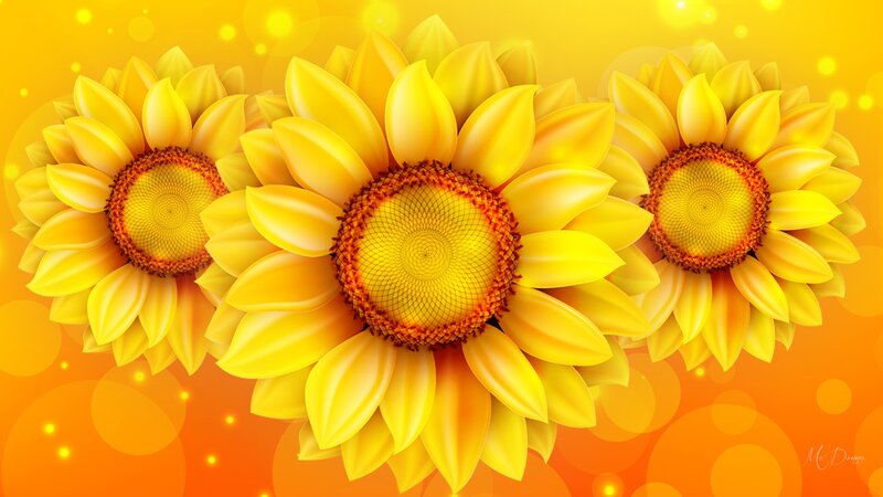 Three Sunflowers — Yellow, Bright, Digital Art