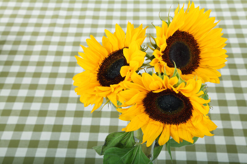 Three Sunflowers — Yellow, Calm