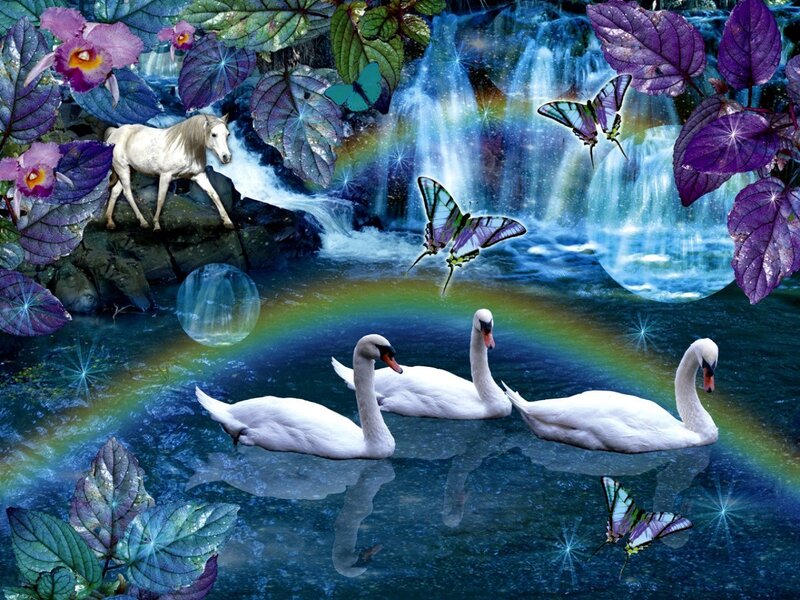 Three Swans in Water