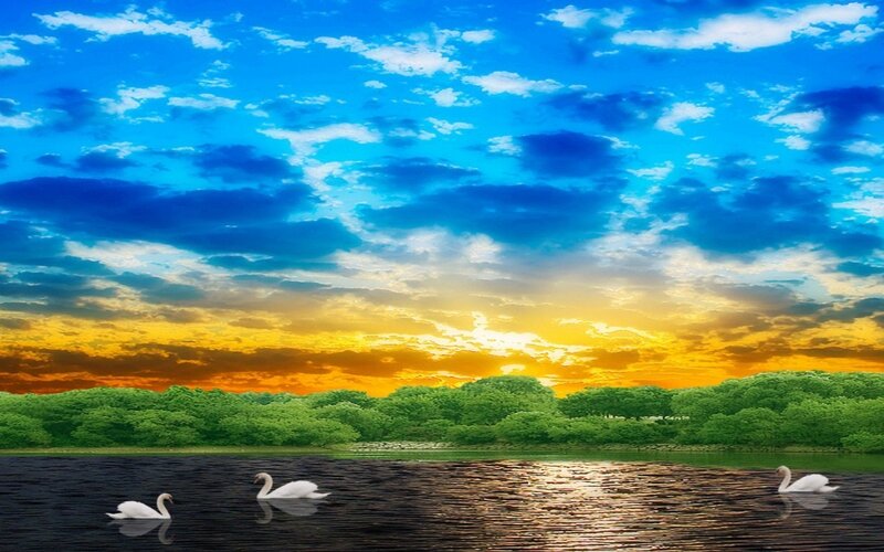Three Swans on a Lake — Blue