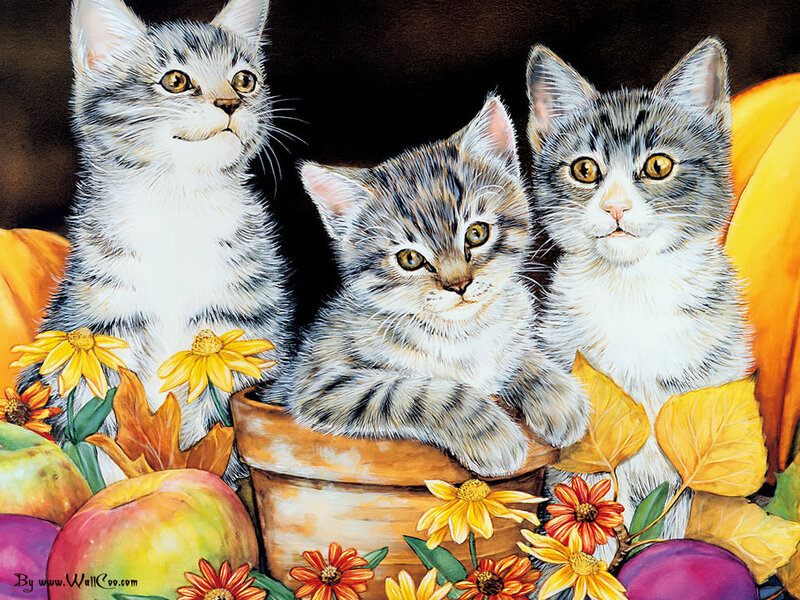 Three Tabby Kittens — Yellow