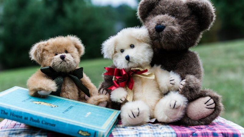 Three Teddy Bears — Brown, Calm, Afternoon, Photograph