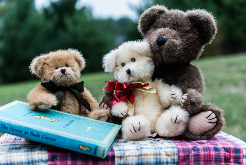 Three Teddy Bears — Brown, Calm, Afternoon
