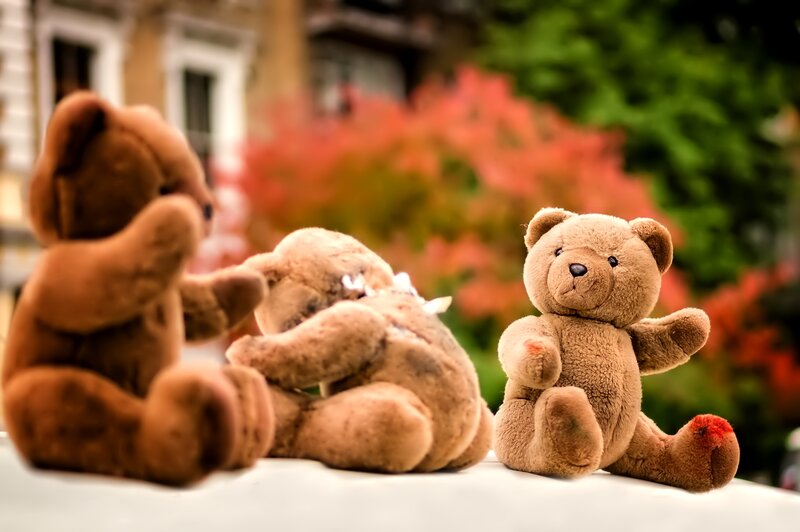 Three Teddy Bears — Brown, Calm, Autumn
