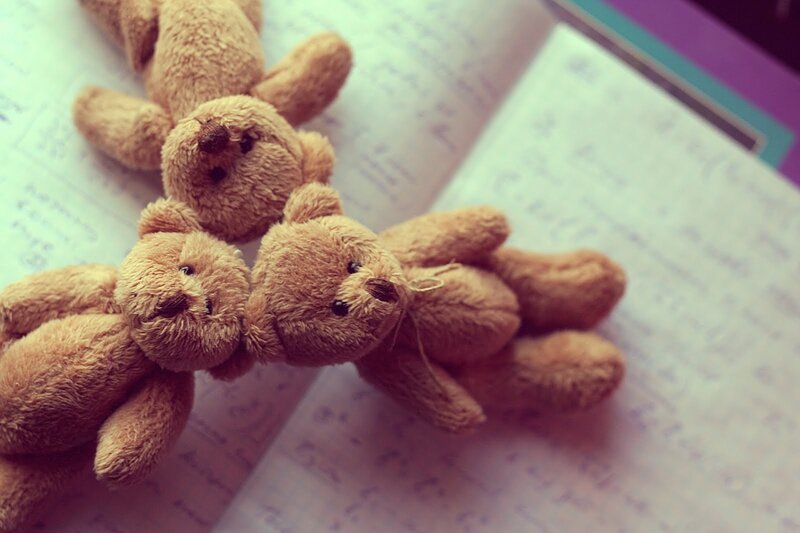 Three Teddy Bears — Brown, Calm, Photograph, Book