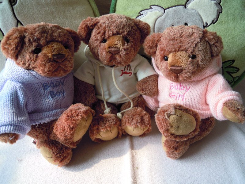 Three Teddy Bears — Brown, Calm