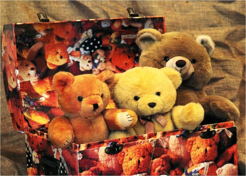 Three Teddy Bears in Box — Brown