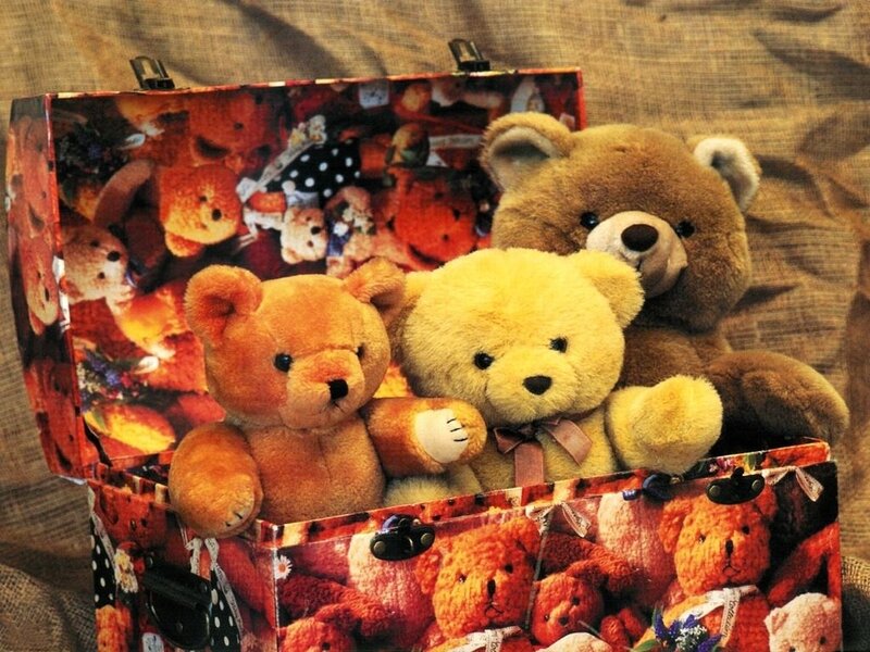 Three Teddy Bears in Box