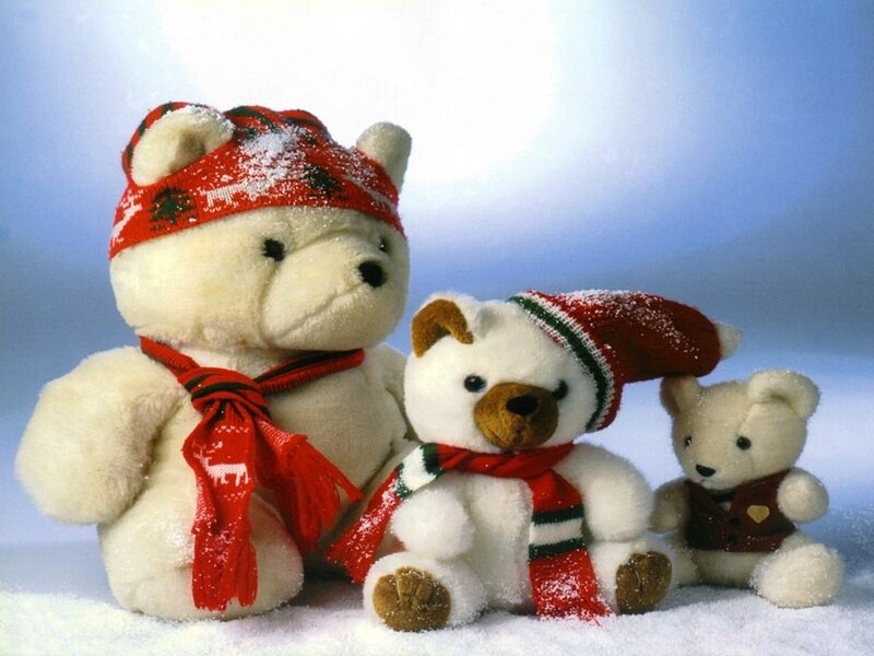 Three Teddy Bears in Snow