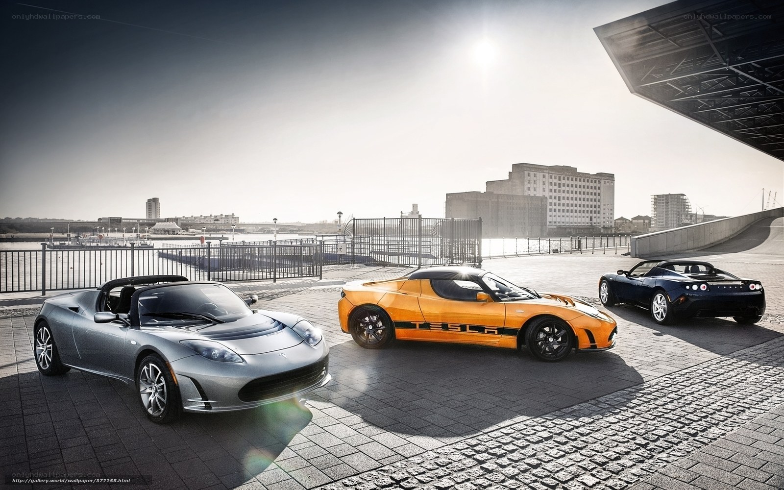 Three Tesla Roadsters by the water