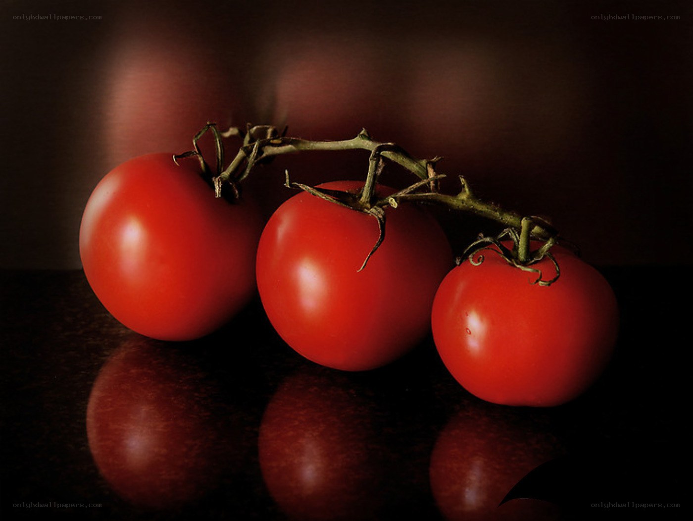 Three tomatoes on a vine